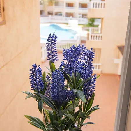 Casa Del Sol - Playa De Locos, Apartment *
